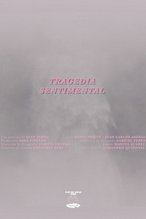 A Sentimental Tragedy (2025) movie poster