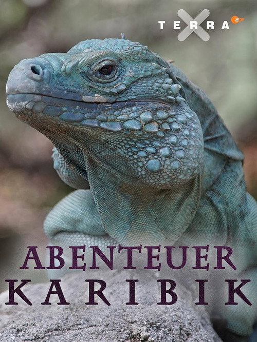 Abenteuer Karibik (2017) movie poster