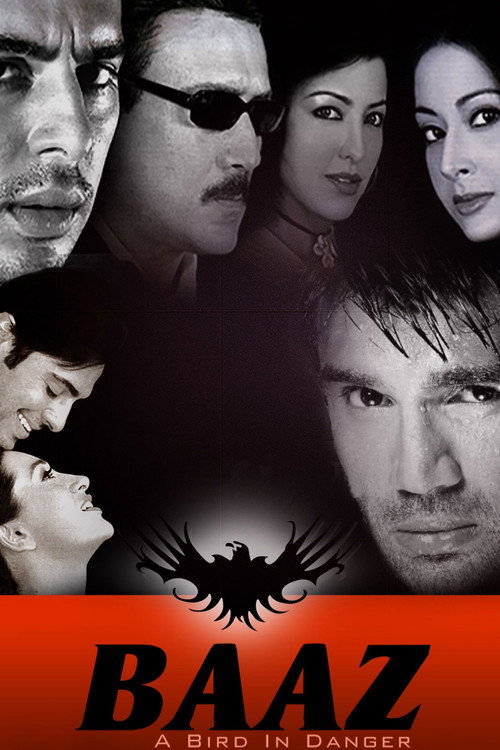 Baaz: A Bird in Danger (2003) movie poster