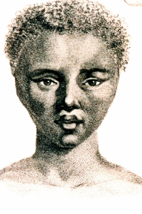 The Life and Times of Sara Baartman (1998) movie poster