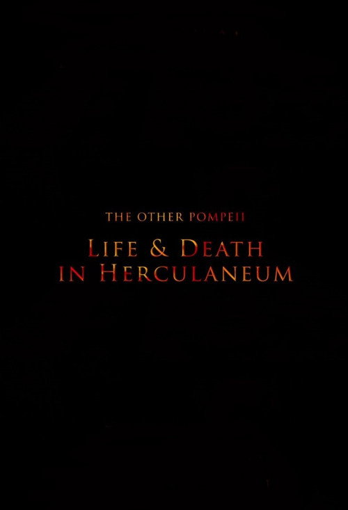 The Other Pompeii: Life & Death in Herculaneum (2013) movie poster