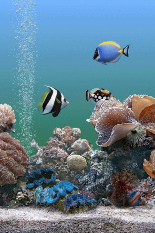 Coral Dreamscapes: An Exotic Aquarium (2000) movie poster