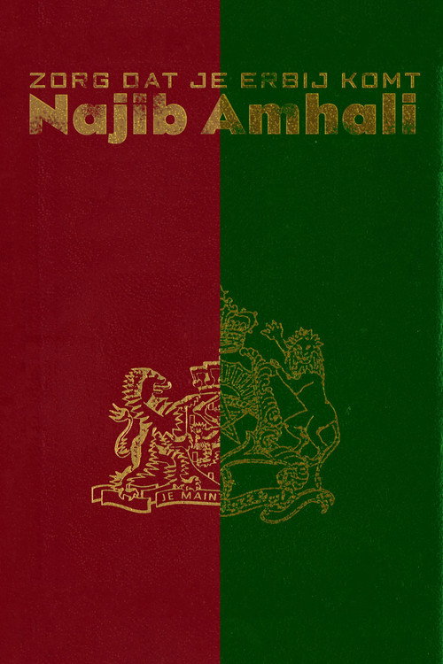 Najib Amhali: Zorg dat je erbij komt (2008) movie poster