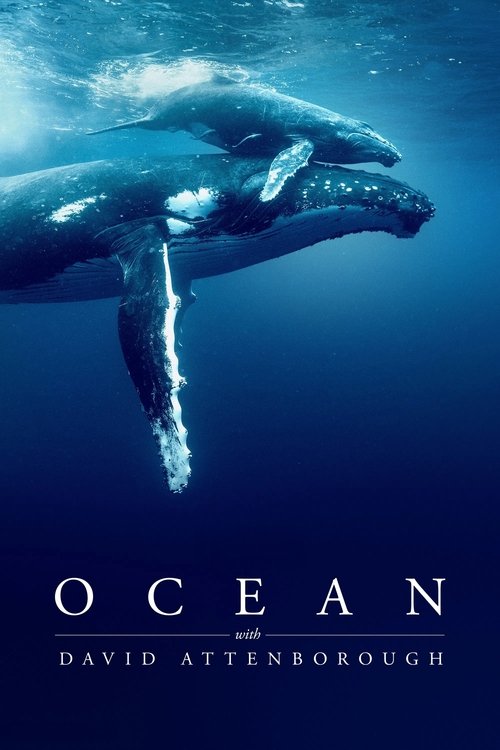 Ocean with David Attenborough (2025) movie poster