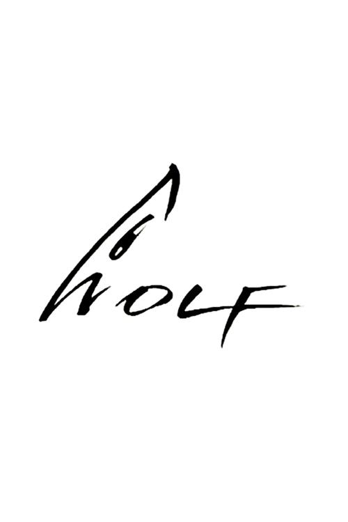 Wolf (1989) TV show poster