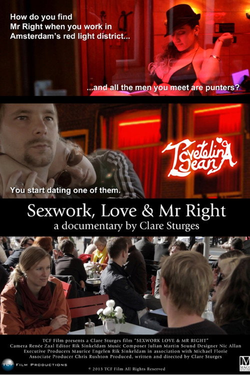 Sexwork, Love & Mr Right (2013) movie poster