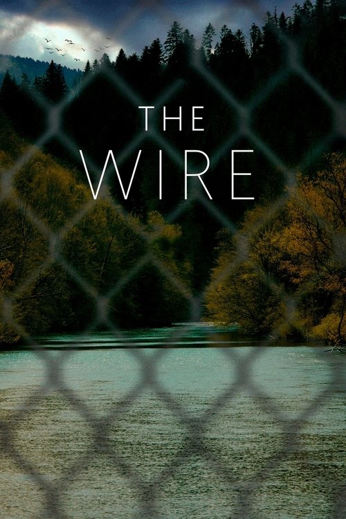 The Wire (2021) movie poster