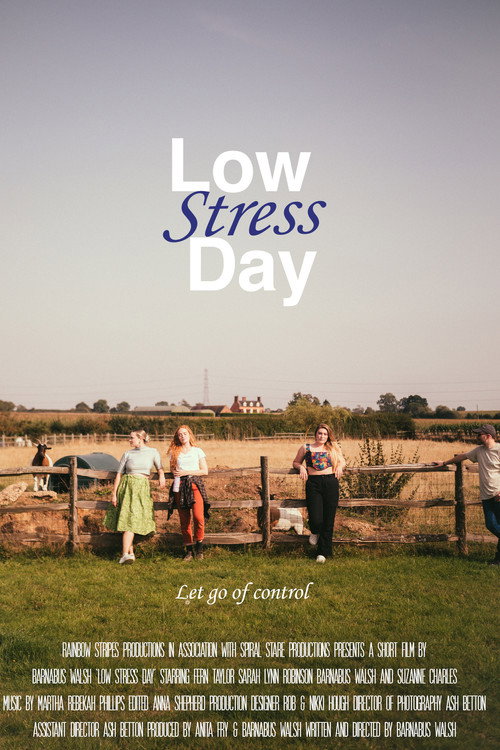 Low Stress Day (2024) movie poster