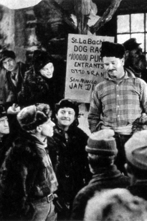 The Northern Trail (1921) movie poster