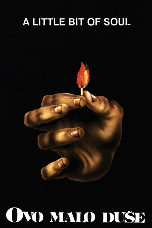 A Little Bit of Soul (1987) movie poster