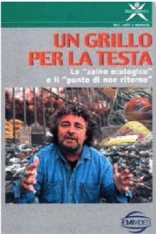 Un Grillo per la testa (1995) movie poster