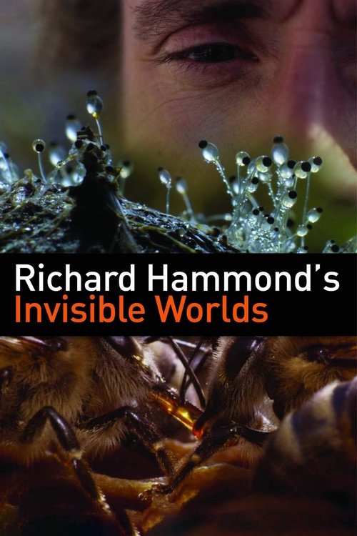 Richard Hammond's Invisible Worlds (2010) TV show poster