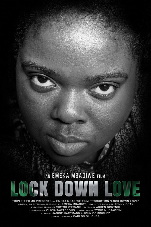 Lock Down Love (2021) movie poster