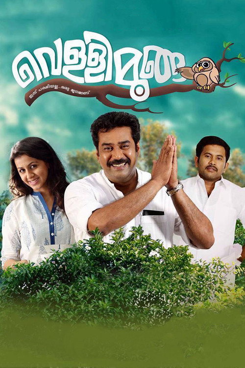 Vellimoonga (2014) movie poster
