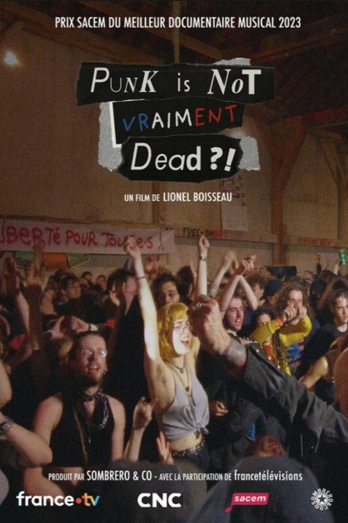 Punk is not vraiment dead ?! (2023) movie poster