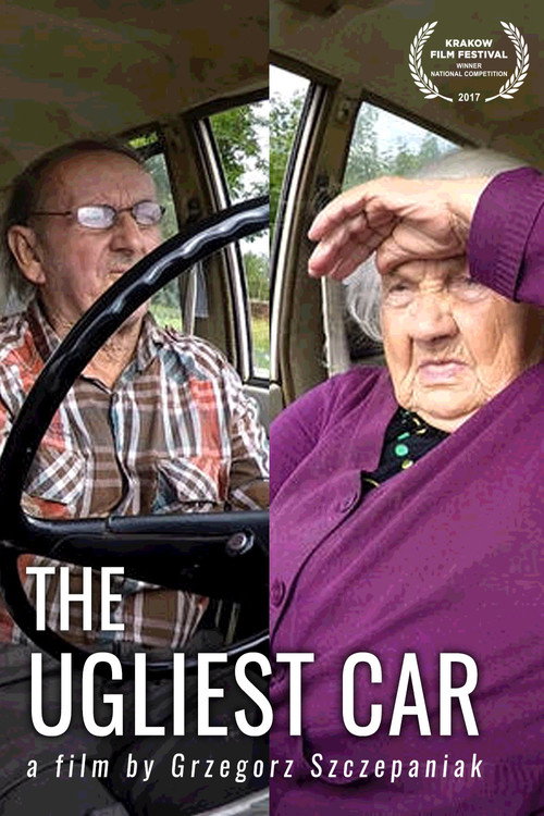 The Ugliest Car (2017) movie poster