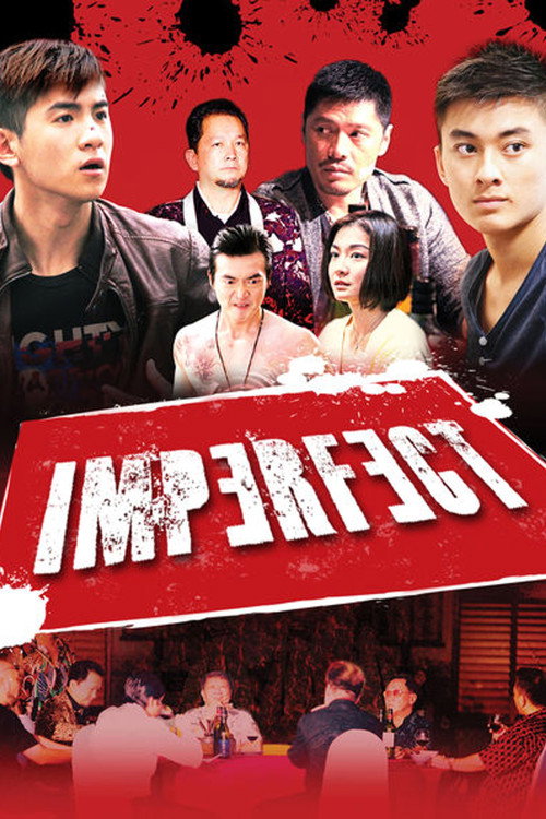 Imperfect (2012) movie poster