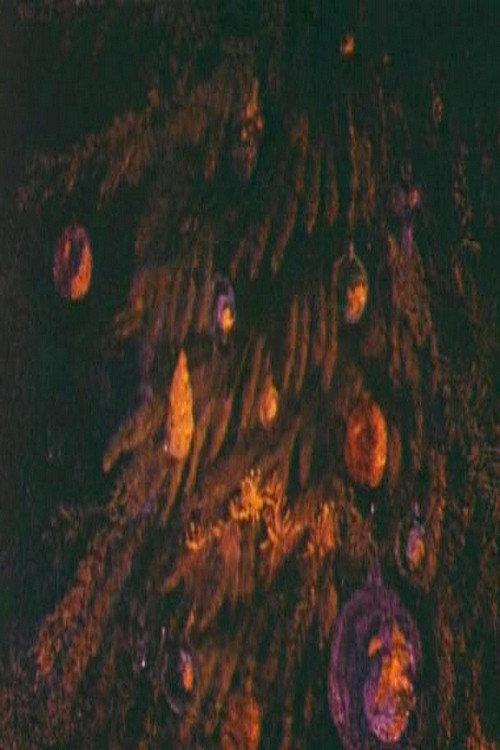Glare (1981) movie poster