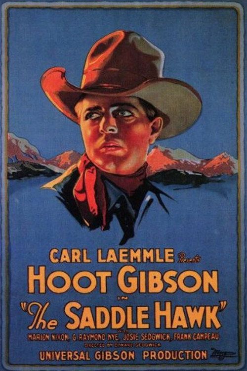 The Saddle Hawk (1925) movie poster