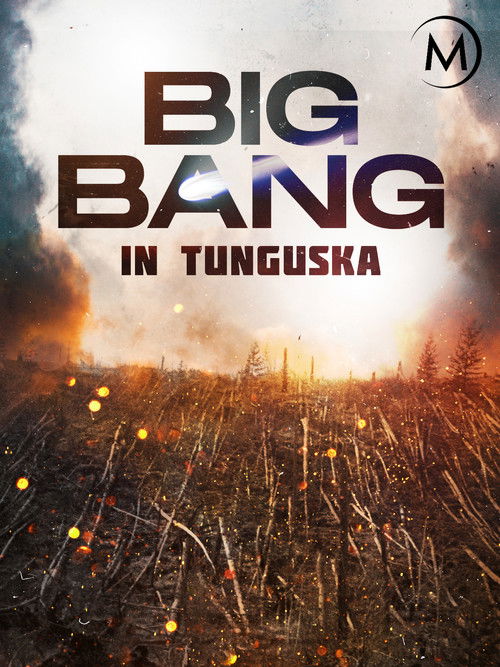 Big Bang in Tunguska (2008) movie poster