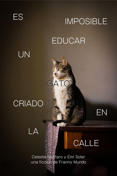Es Imposible Educar Un Gato Criado en la Calle movie poster