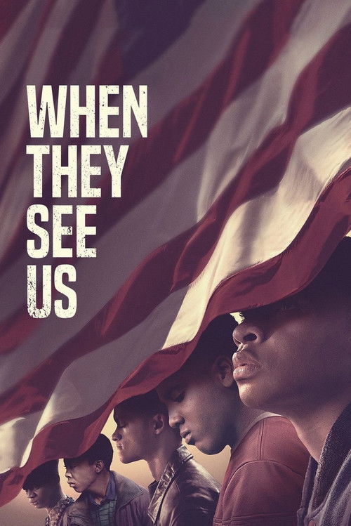 When They See Us (2019) TV show poster