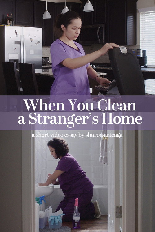 When You Clean a Stranger's Home (2020) movie poster