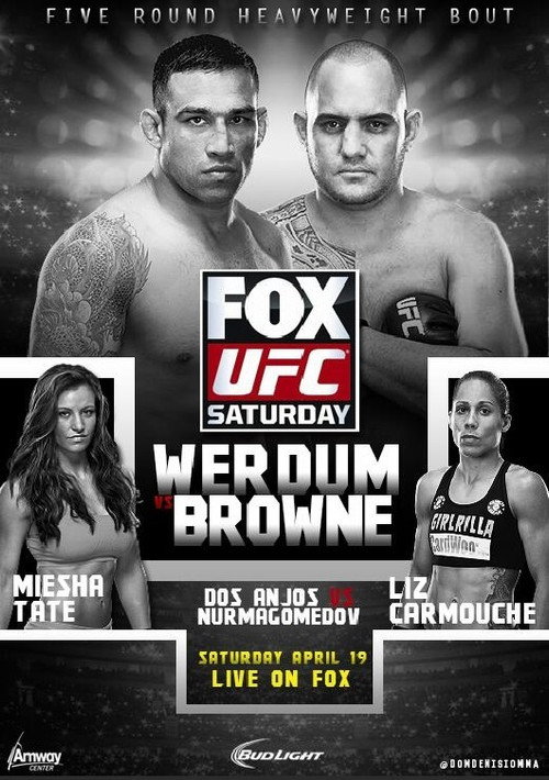 UFC on Fox 11: Werdum vs. Browne (2014) movie poster