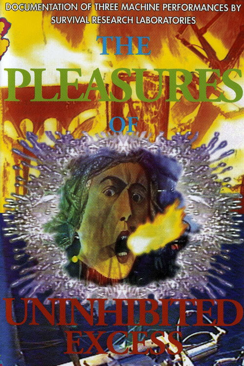 The Pleasures of Uninhibited Excess (1991) movie poster