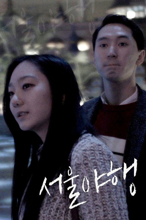 Midnight in Seoul (2016) movie poster