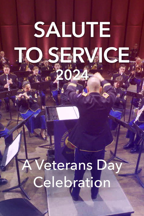 Salute to Service 2024: A Veterans Day Celebration (2024) movie poster
