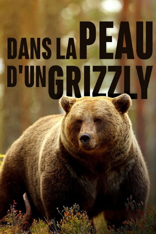 Grizzlys hautnah (2018) TV show poster