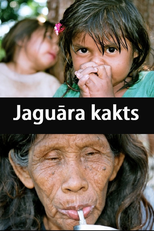 Jaguar's Corner (2010) movie poster