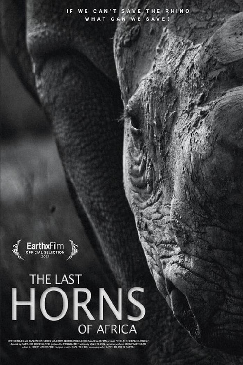 The Last Horns Of Africa (2021) movie poster
