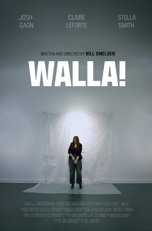 WALLA! movie poster