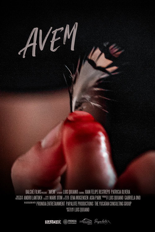 Avem (2025) movie poster