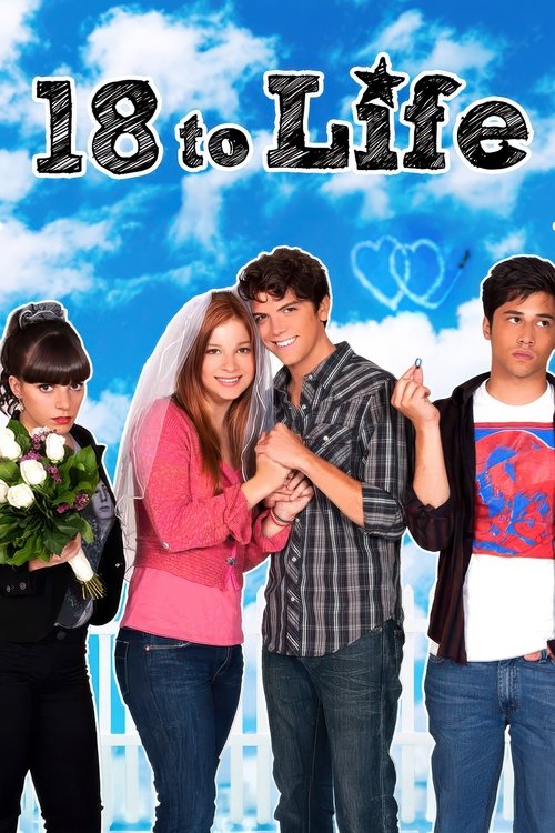 18 to Life (2010) TV show poster