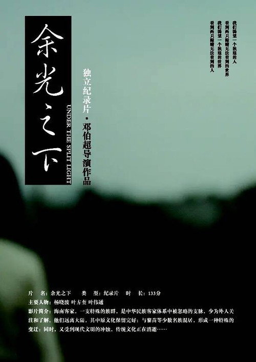 Under the Split Light (2011) movie poster