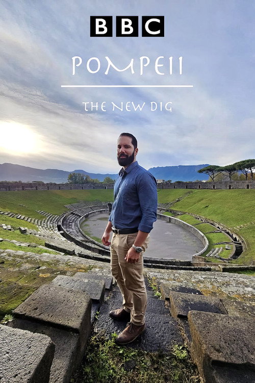 Pompeii: The New Dig (2024) TV show poster