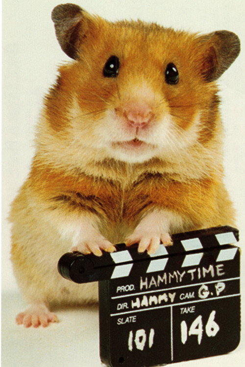 Once Upon a Hamster (1995) TV show poster