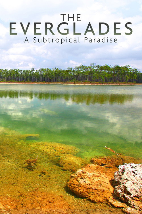 National Parks Exploration Series: The Everglades (2011) movie poster