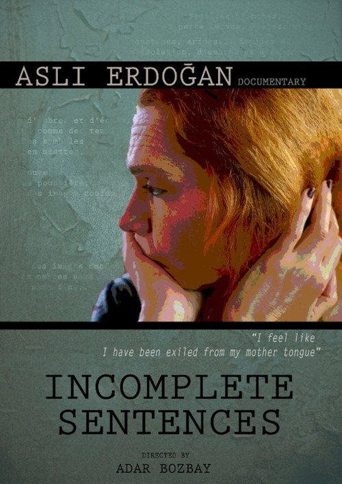 Incomplete Sentences (2022) movie poster