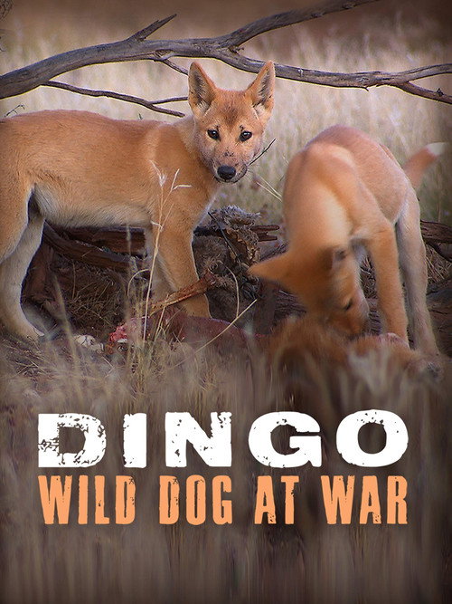 Dingo: Wild Dog at War (2013) movie poster