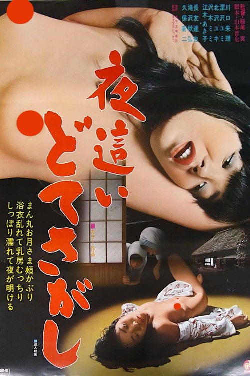 Night Visitors: Sex Hunt (1979) movie poster