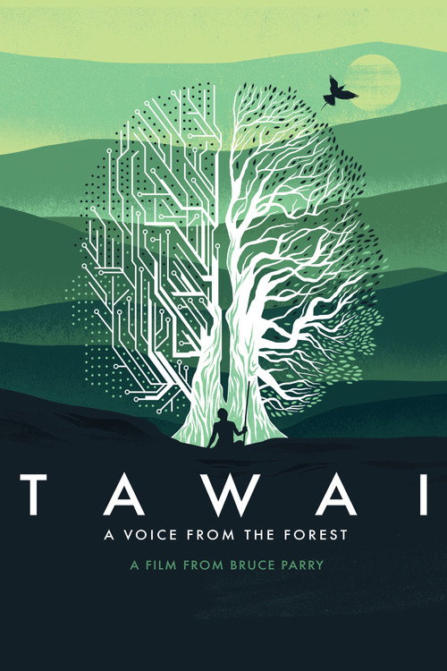 Tawai: A Voice from the Forest (2017) movie poster