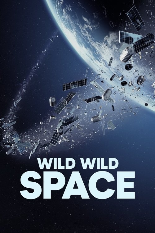 Wild Wild Space (2024) movie poster