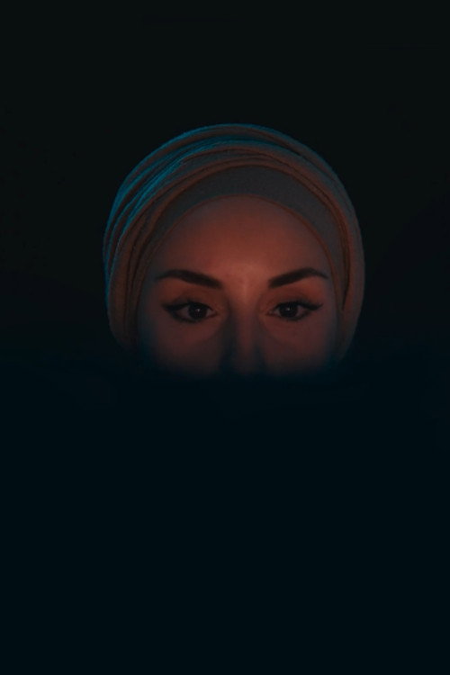 Aut There (2024) movie poster