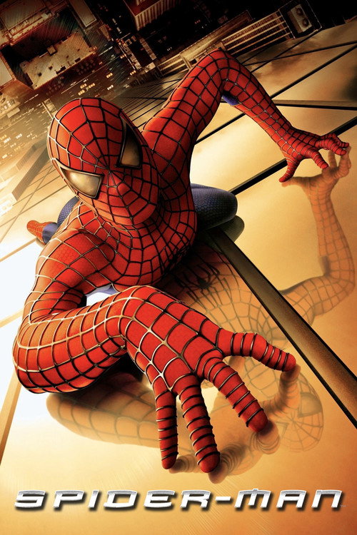 Spider-Man (2002) movie poster