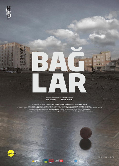 Baglar (2016) movie poster