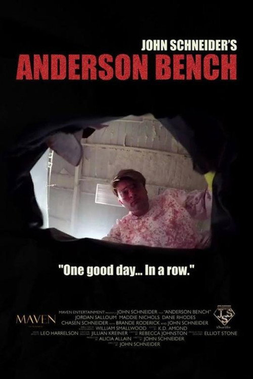 Anderson Bench (2016) movie poster